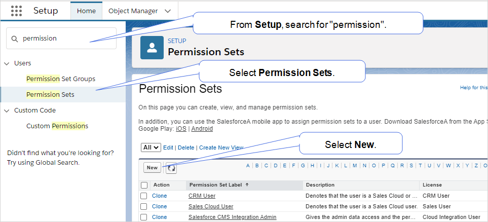 Setup page showing how to search for and select Permissions Sets.